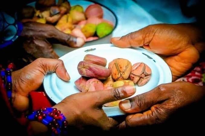 oji igbo kola nut