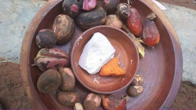 oji na nzu